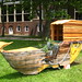 Cindy Goodman Photo 45