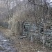 Paul Beebee Photo 7