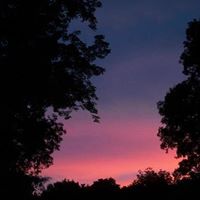 Debra Hatch Photo 7