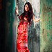 Tran Bao Photo 29
