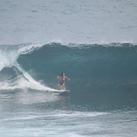 Linda Gehring Photo 23
