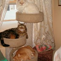 Jane Schmit Photo 4