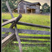 Stacy Sommers Photo 10