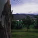 Gloria Marshall Photo 9