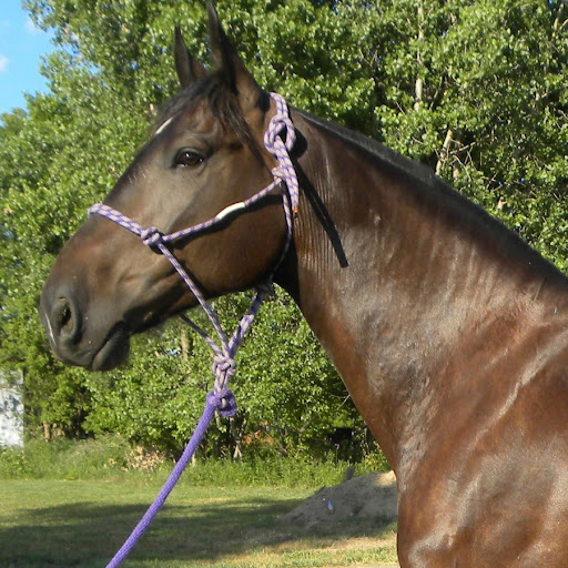 Jean Lord Photo 12