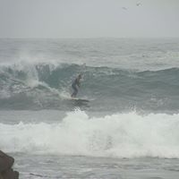 Carlos Vega Photo 40