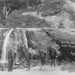 Elmer Allen Photo 8