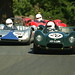 Bob Strauss Photo 13