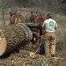 Jason Rutledge Photo 34