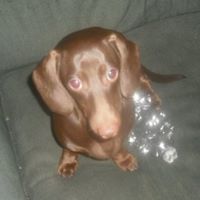 Lola Freeman Photo 9