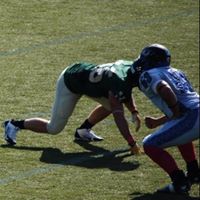 Stephen Colvin Photo 13
