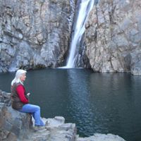 Susan Shedd Photo 11