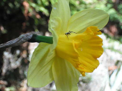 Ann Erickson Photo 37