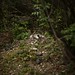 Joey Simms Photo 19