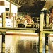Terry Parrish Photo 21