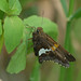 Sandra Skipper Photo 11