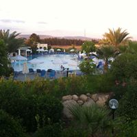 Steven Auld Photo 6