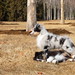 Tony Cady Photo 9