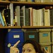 Angela Heinrich Photo 14