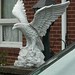 Jay Eagle Photo 10