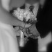 Amy Crandall Photo 22