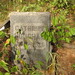Stephen Pritchard Photo 12