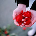 Catherine Hand Photo 23