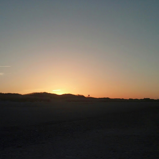 Susan Mckenney Photo 19