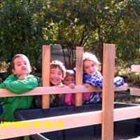 Carol Alcorn Photo 12