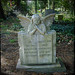 Ann Gray Photo 12