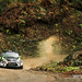 Terry Tabor Photo 9