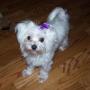 Teresa Sturgill Photo 14