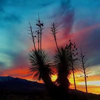 Theresa Gonzalez Photo 25