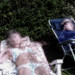 Susan Hedges Photo 26