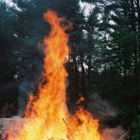 Debra Goodwin Photo 22