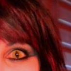 Lee Gipson Photo 9