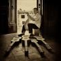Alexander Hopkins Photo 18