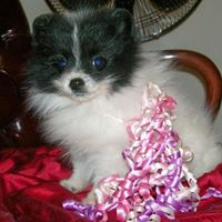 Sandra Garris Photo 10