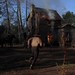 Sondra Mckinney Photo 20