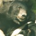 Roger Moon Photo 21