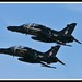 R Hawks Photo 3