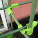 Vicki Binning Photo 10