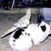 Nancy Sweet Photo 19