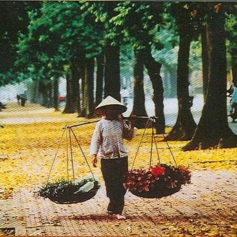 Phuong Dinh Photo 4