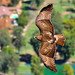 Eddie Falcon Photo 37