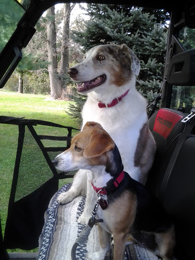 Sue Wilson Photo 32