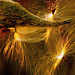 Amie Newton Photo 7