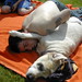 Travis Stephens Photo 41