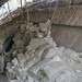Richard Hansen Photo 31
