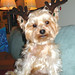 Kay Guthrie Photo 15